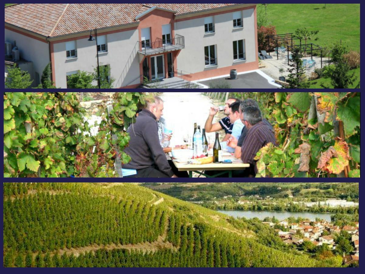 Hotel Le Domaine Des Vignes Ampuis Lyon Sud Vienne Экстерьер фото