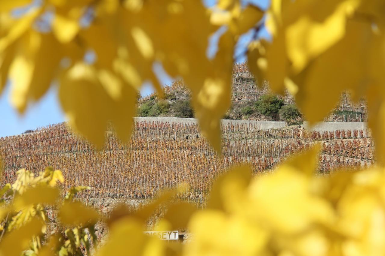 Hotel Le Domaine Des Vignes Ampuis Lyon Sud Vienne Экстерьер фото