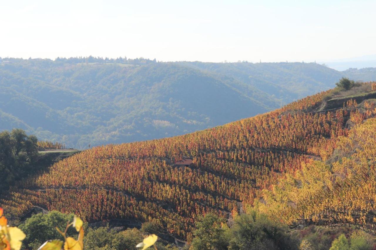 Hotel Le Domaine Des Vignes Ampuis Lyon Sud Vienne Экстерьер фото